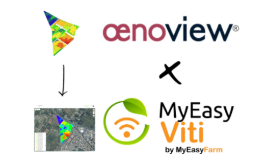 MyEasyViti x Oenoview